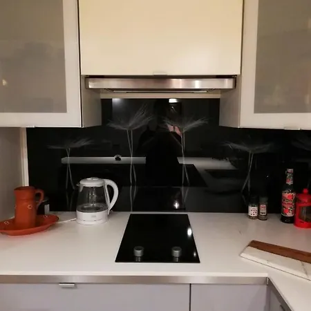 Studio Apartment *